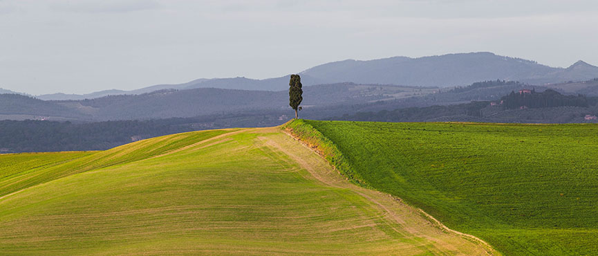 Toscana