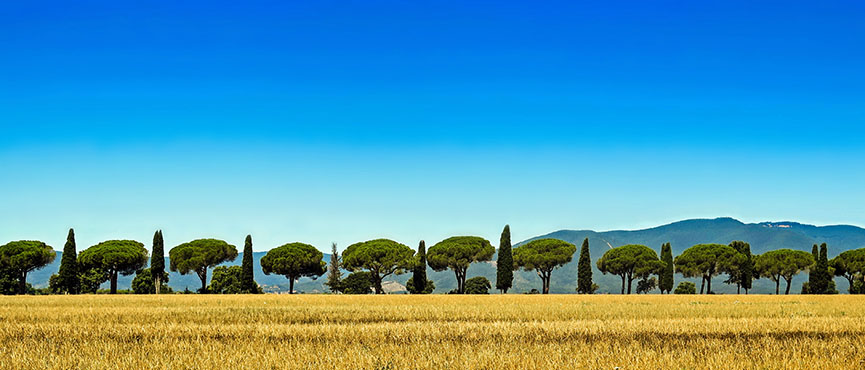 Toscana