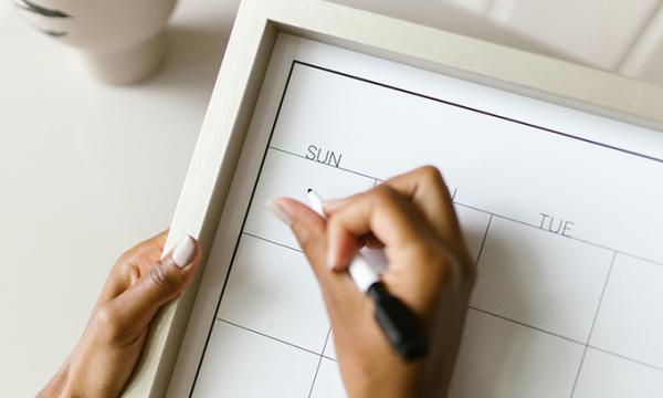 Analisi NGS delle comunit&agrave; microbiche.